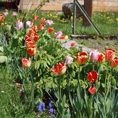 Buerschtehanse-Hof Ibach Esterno foto