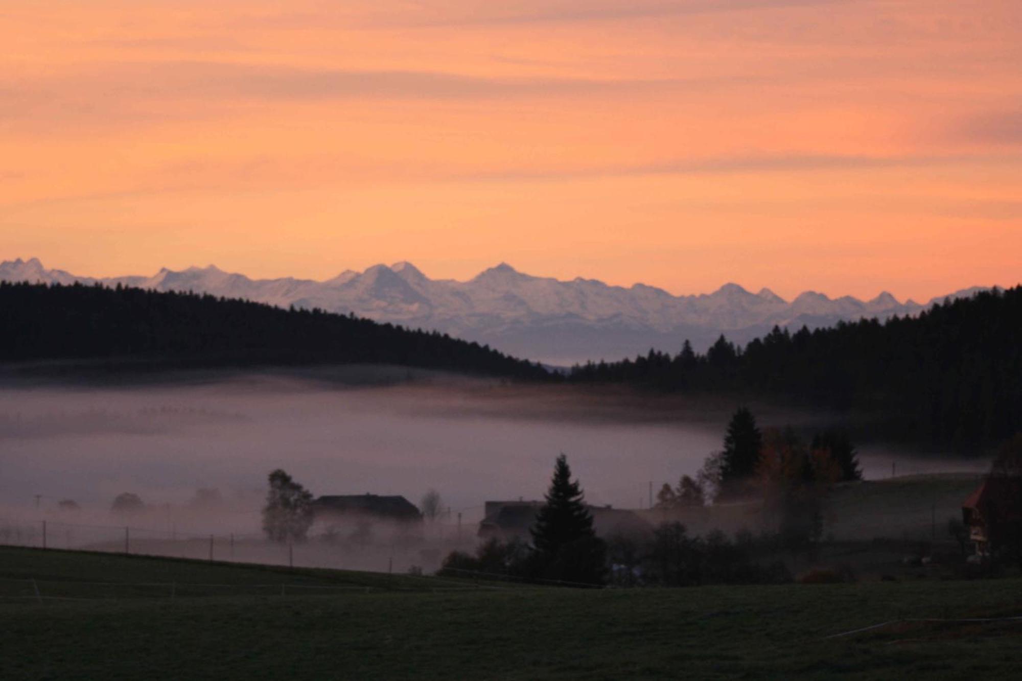 Buerschtehanse-Hof Ibach Esterno foto