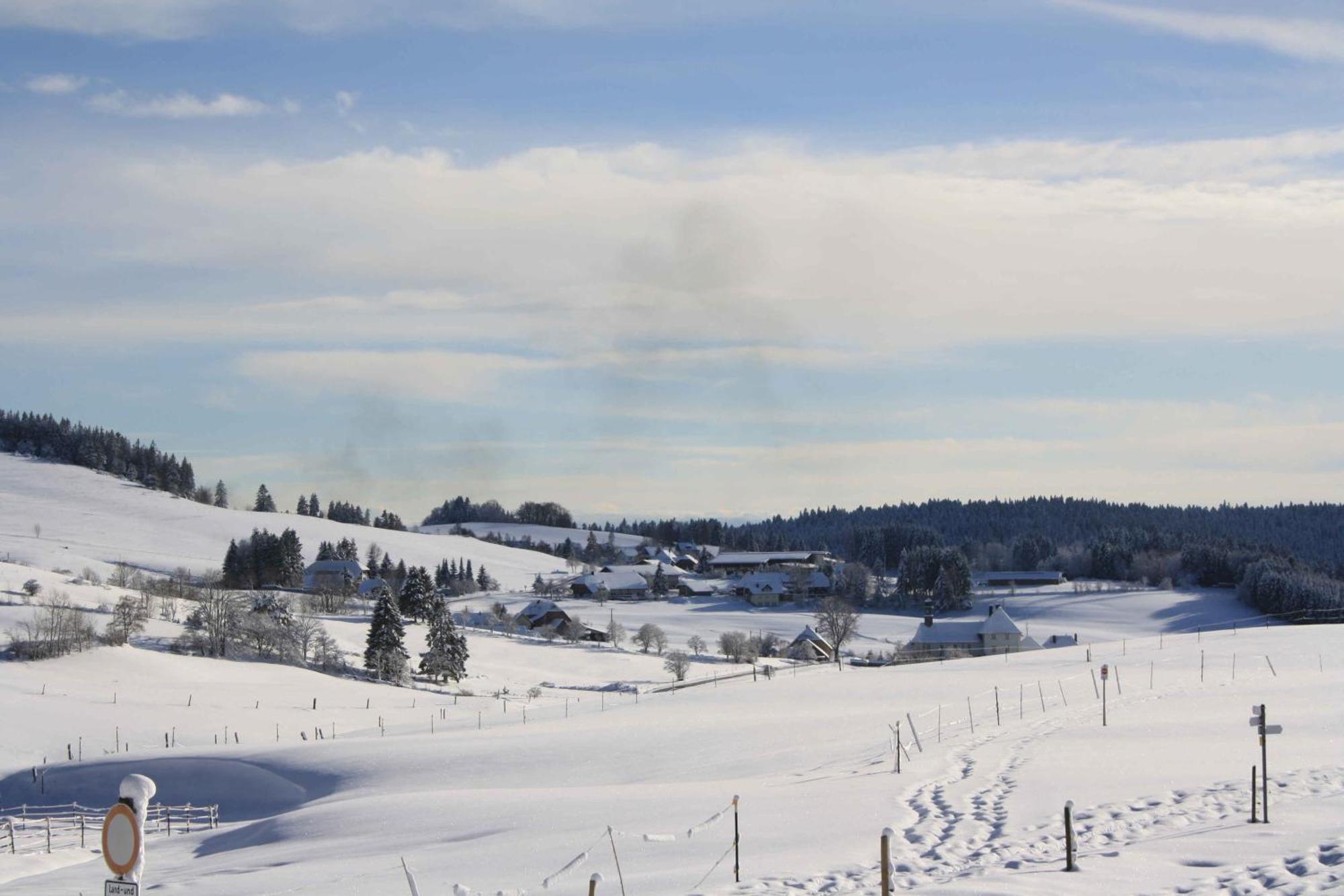 Buerschtehanse-Hof Ibach Esterno foto