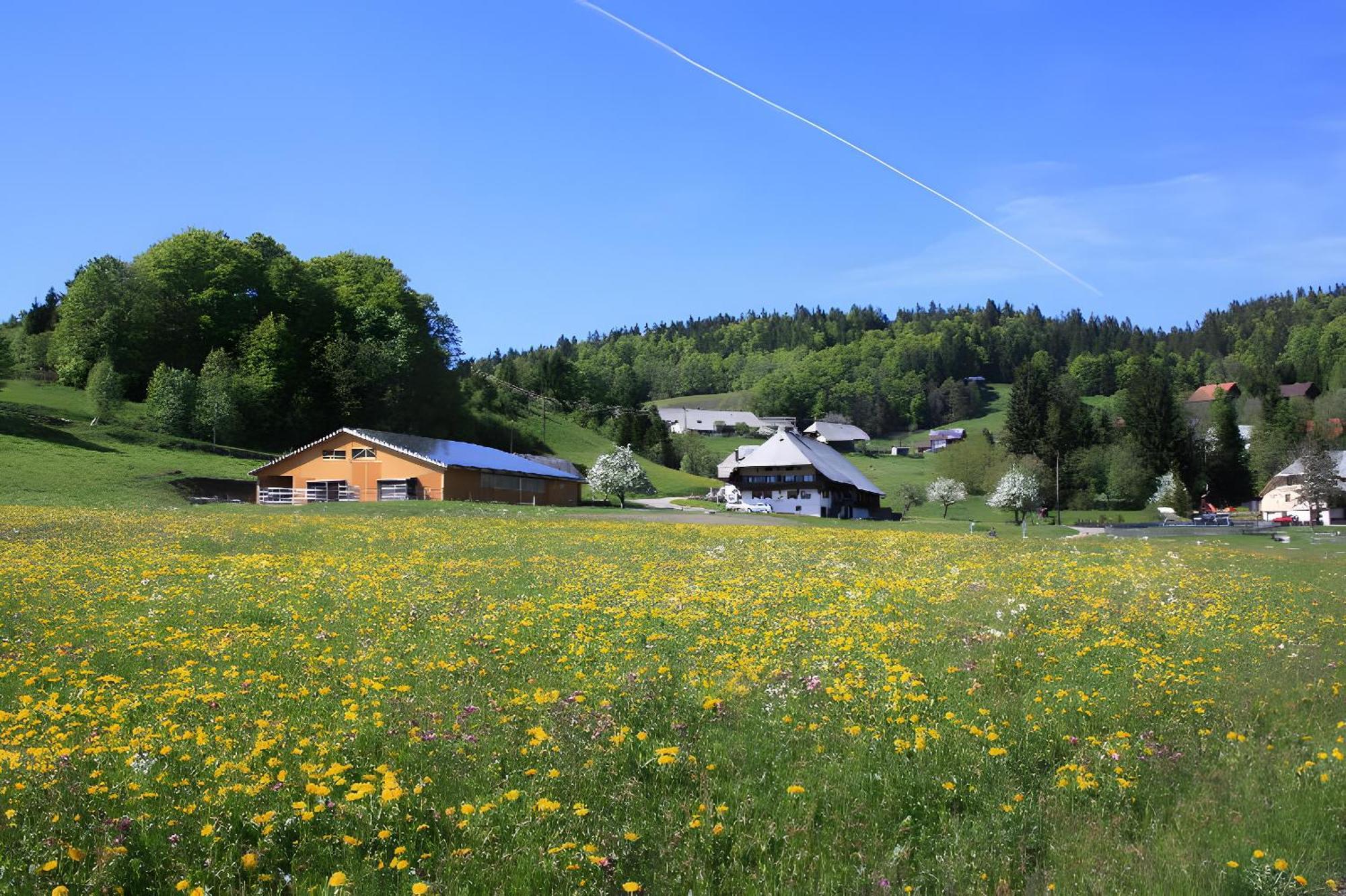 Buerschtehanse-Hof Ibach Esterno foto
